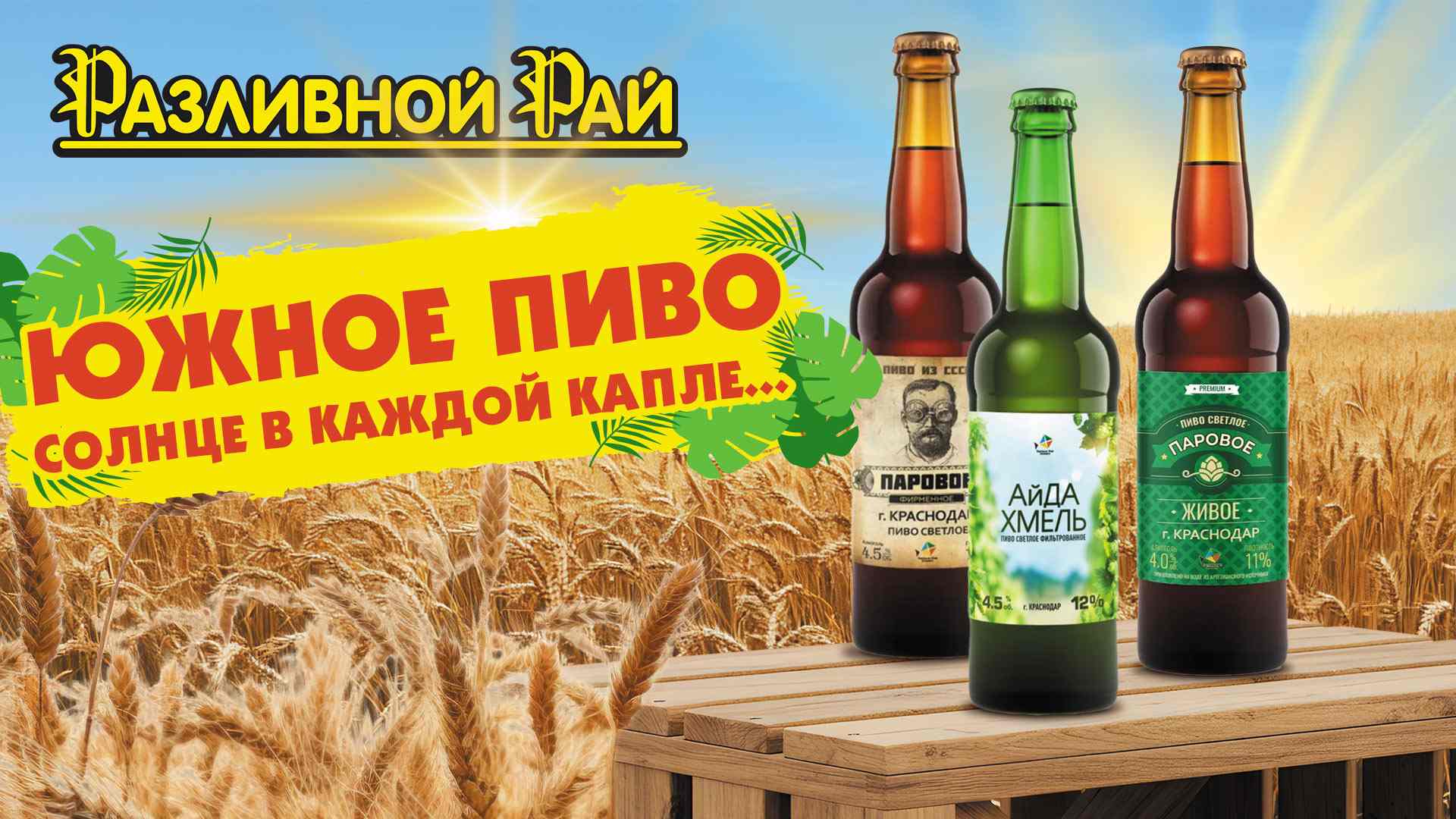 СОЛНЕЧНЫЕ НОВИНКИ ИЗ КРАСНОДАРА!